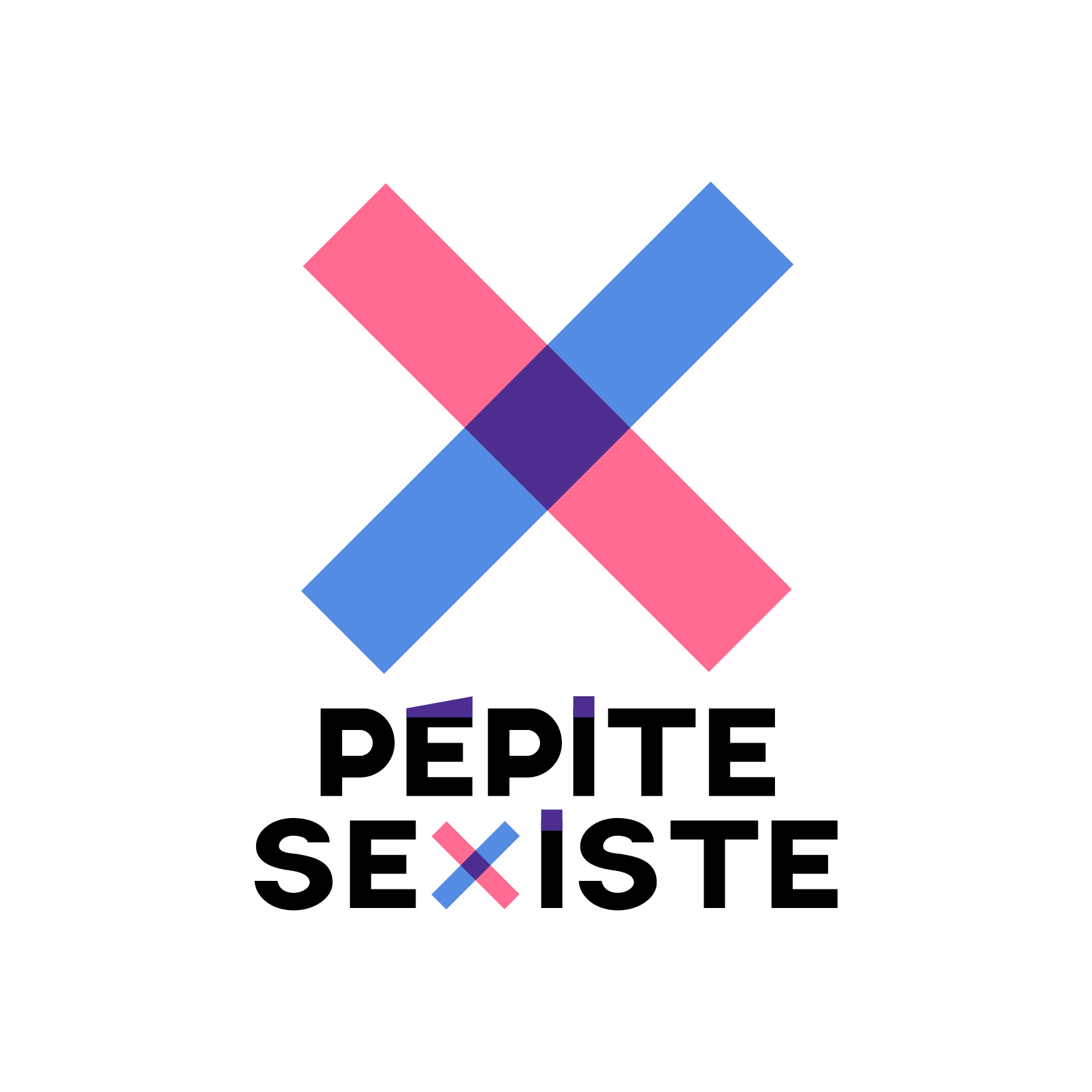 Pépite Sexiste - Marion Vaquero